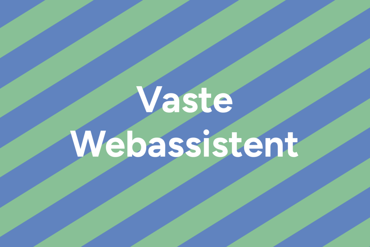 Vaste Webassistent Your Website Made Easy By Deshna 1200x800
