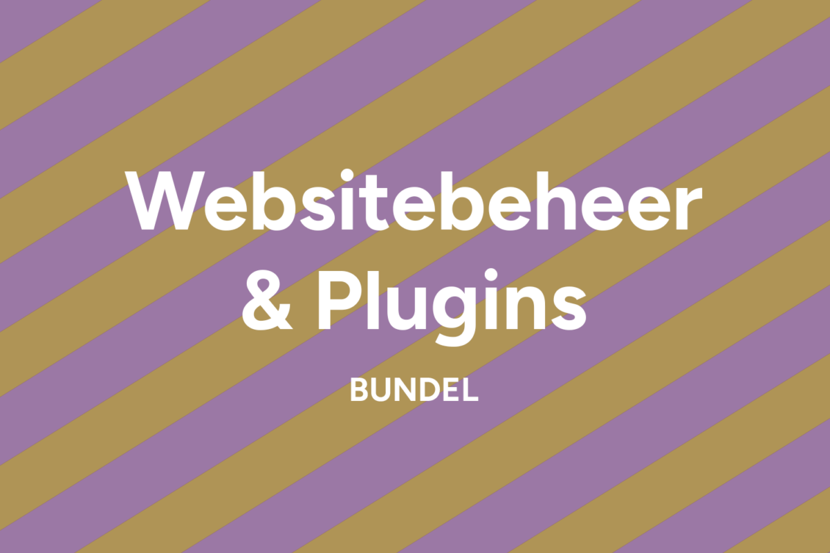 websitebeheer plugins bundel your website made easy by deshna
